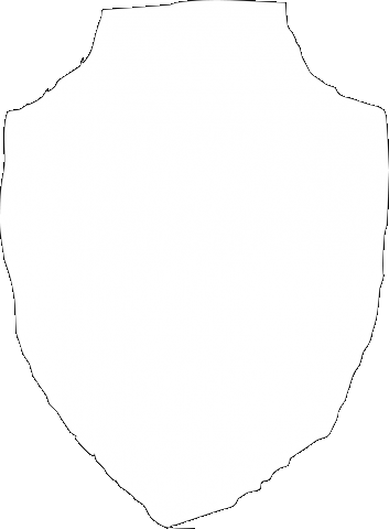 11AA_WHT_SHIELD.png