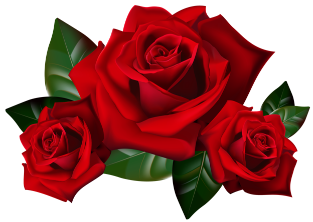 1A_ROSE.png